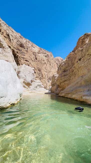 Immagine nº 35 di Muscat: escursione di un'intera giornata a Wadi Shab, grotta romantica e sinkhole attività a Regione al-Sharqiyya, caricata dal fornitore