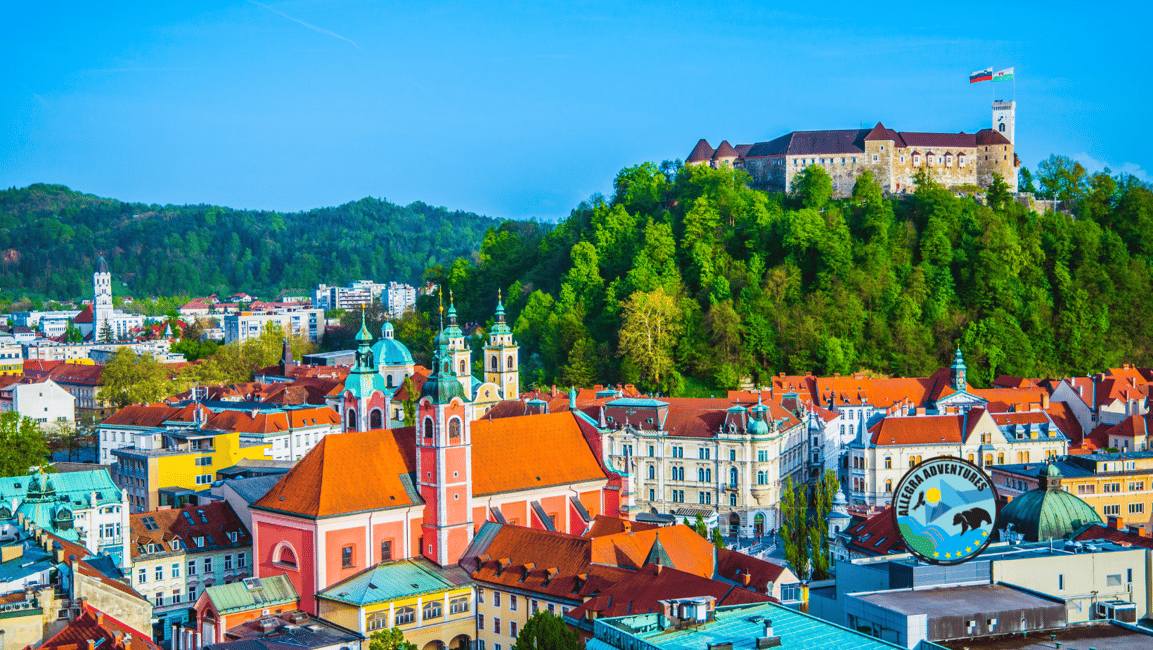 afbeelding n.7 van Zagreb naar Slovenië: Ontdek Bled en Ljubljana in een dag activiteit in Ljubljana, geüpload door aanbieder