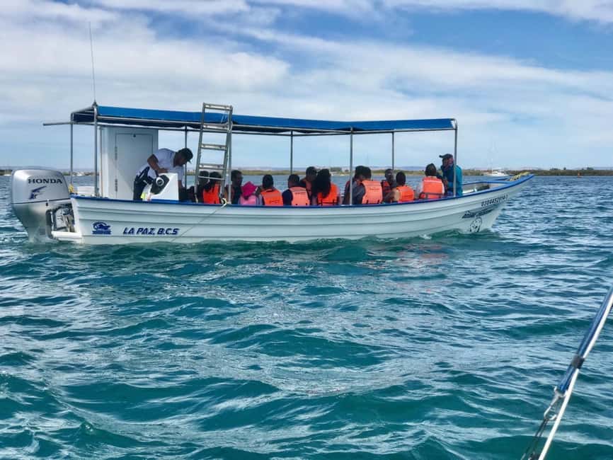 image n.11 of From La Paz: Swim with Sea Lions & Espíritu Santo Boat Tour activity in Baja California Sur, uploaded by supplier