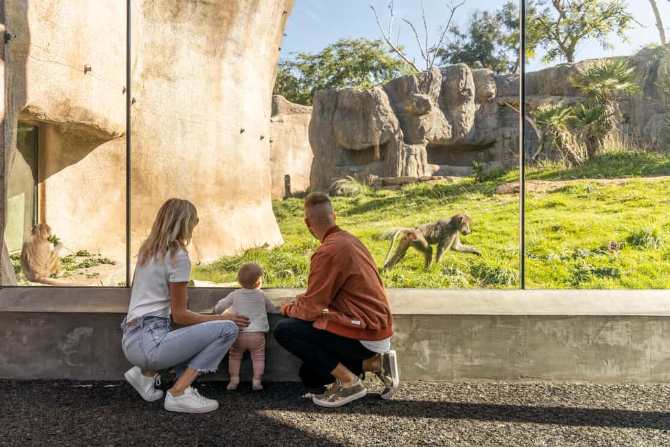 image n.3 of San Diego Explorer Pass: Save up to 50% on 45+ Attractions activity in San Diego, uploaded by supplier