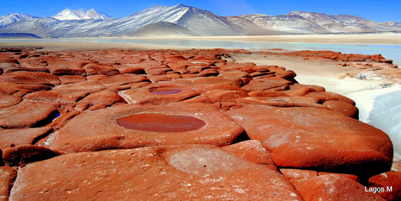imagem n.9 de San Pedro de Atacama: Passeio de um dia pelas Rochas Vermelhas e Lagoas Altiplânicas atividade em Norte do Chile, carregada pelo fornecedor