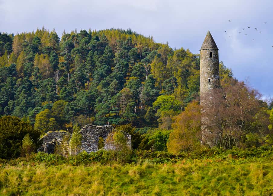 imagen n.º 6 de Desde Dublín: Excursión de medio día a Glendalough y Wicklow actividad en Wicklow, subida por el proveedor