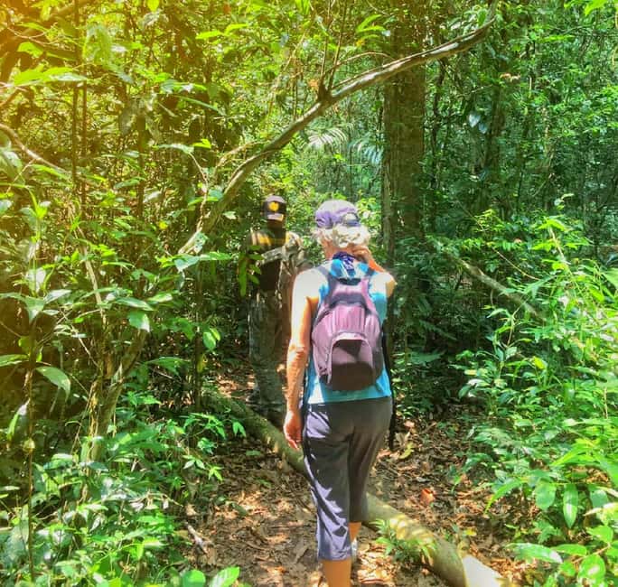 imagen n.º 6 de Desde Bangkok: Excursión de un día en grupo reducido al Parque Nacional de Khao Yai actividad en Provincia de Nakhon Nayok, subida por el proveedor