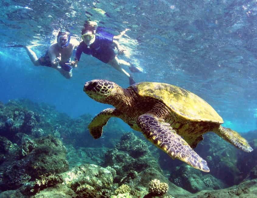 image n.7 of Kayak and Snorkel West Maui at Olowalu activity in Hawaii, uploaded by supplier