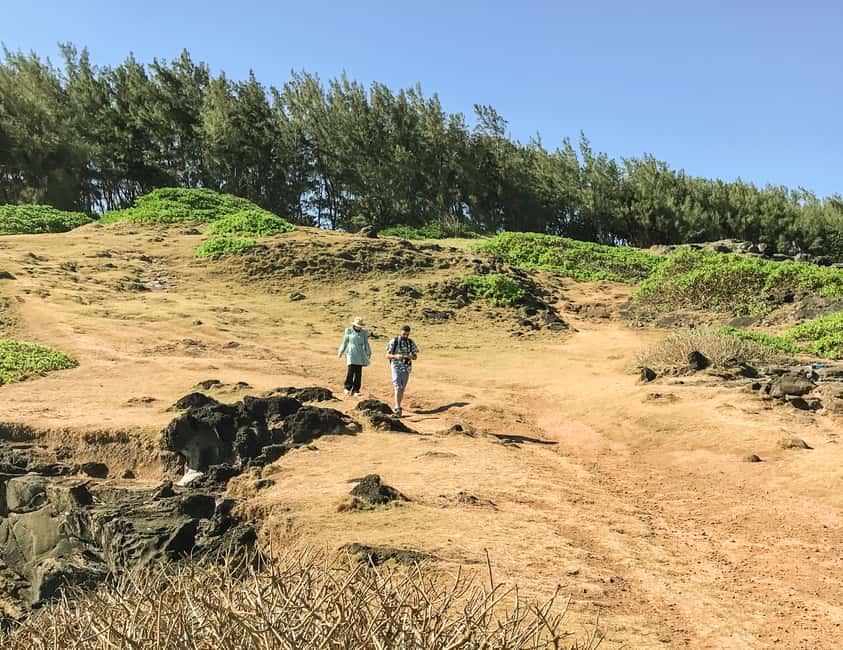 bild nr.2 av Mauritius: Den vilda södern: Vandringstur med guide aktivitet i Mauritius, uppladdad av arrangören