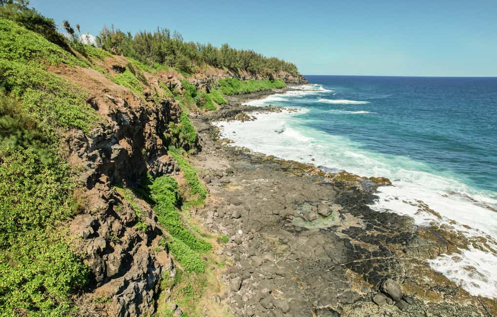 bild nr.7 av Mauritius: Den vilda södern: Vandringstur med guide aktivitet i Mauritius, uppladdad av arrangören