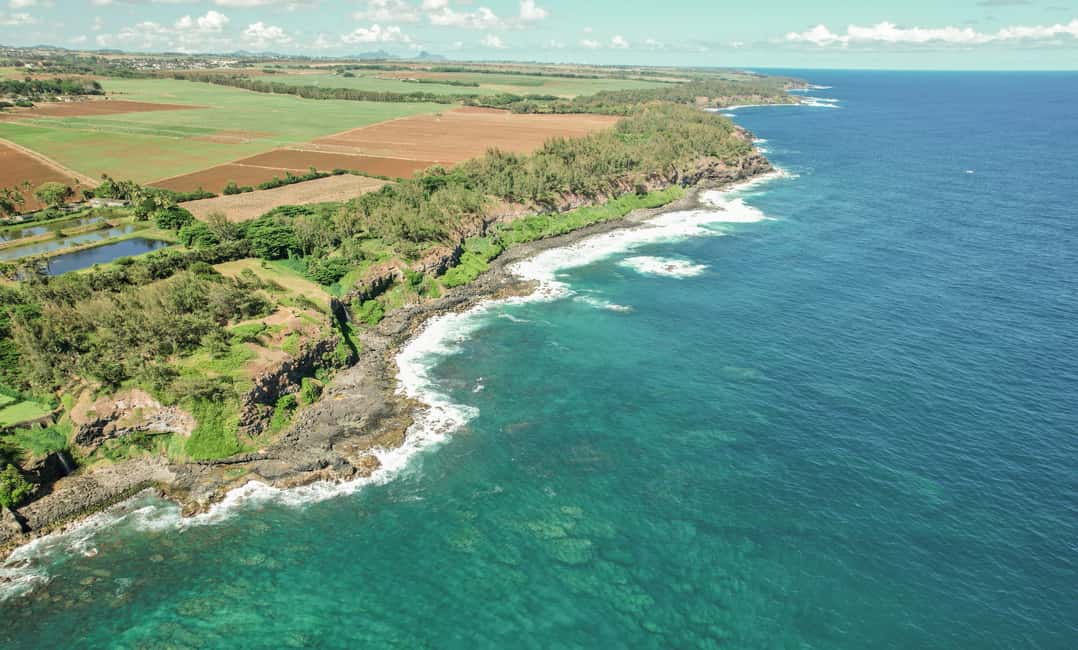 bild nr.14 av Mauritius: Den vilda södern: Vandringstur med guide aktivitet i Mauritius, uppladdad av arrangören