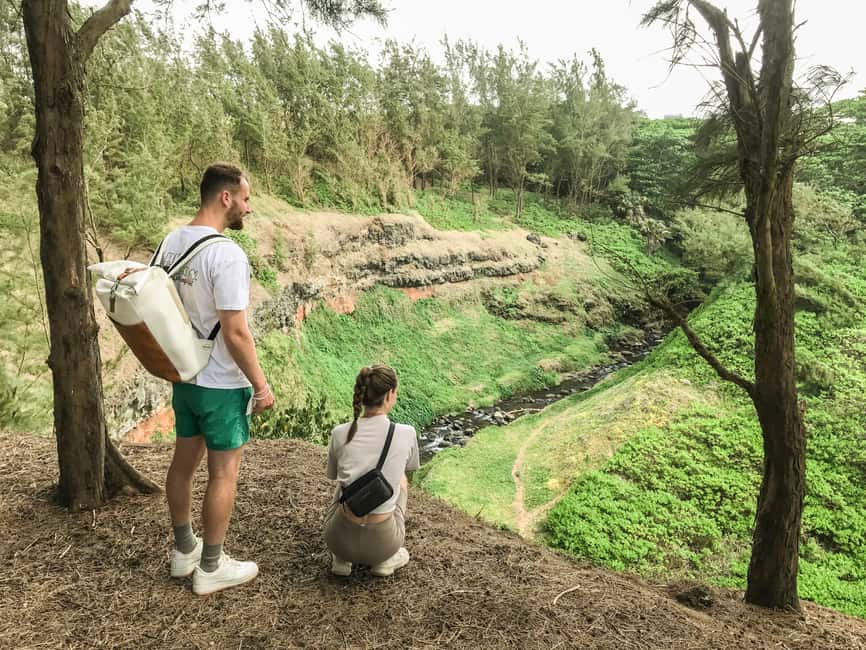 bild nr.17 av Mauritius: Den vilda södern: Vandringstur med guide aktivitet i Mauritius, uppladdad av arrangören