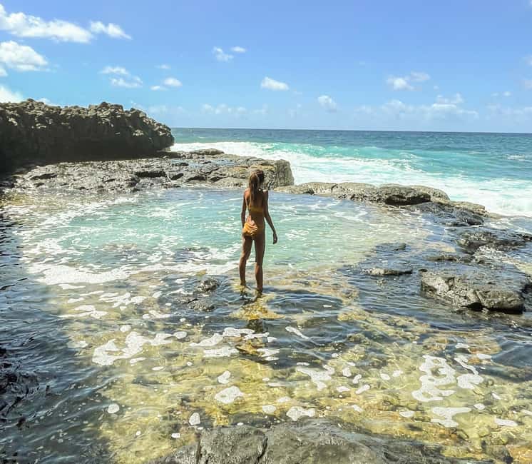 bild nr.20 av Mauritius: Den vilda södern: Vandringstur med guide aktivitet i Mauritius, uppladdad av arrangören