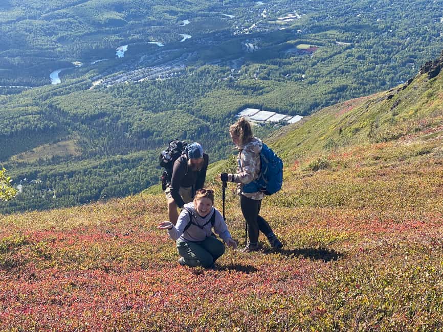image n.3 of From Anchorage: Chugach State Park Guided Alpine Trek activity in Alaska, uploaded by supplier