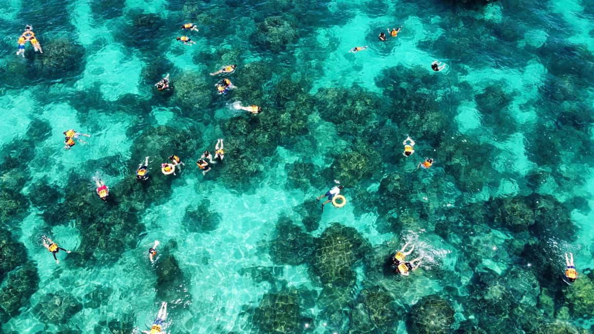 image n.4 of Krabi: Phi Phi and 4 Islands with Snorkeling by Speed Boat activity in Gulf of Thailand, uploaded by supplier