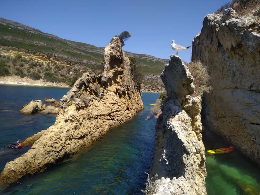 image n.5 of Lisbon: Arrábida Kayak and Coasteering Adventure Tour activity in Setubal, uploaded by supplier