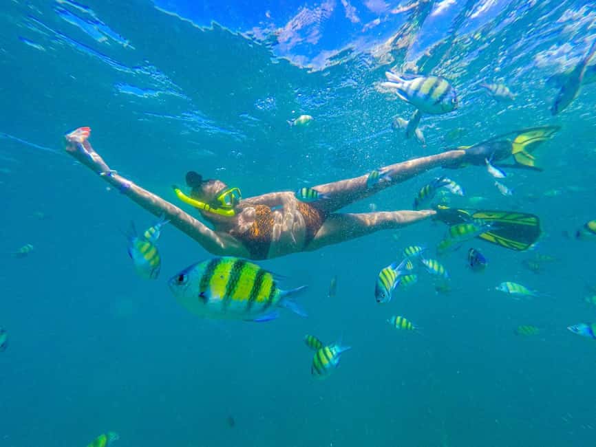 image n.17 of Phuket: Deluxe Phi Phi Tour by Speedboat & Lunch Buffet activity in Gulf of Thailand, uploaded by supplier