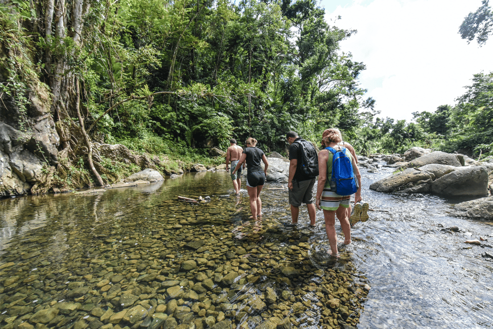Obraz nr 1 z atrakcji Z San Juan: El Yunque Rainforest i Bio Bay Kayak Combo w Río Grande, Portoryko, przesłany przez organizatora