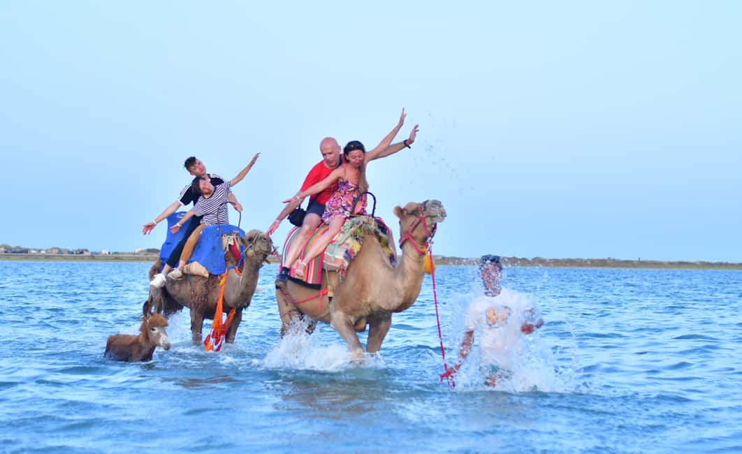 image n.2 of Djerba: Guided Camel Ride with Blue Lagoon Visit activity in Medenine Governorate, uploaded by supplier