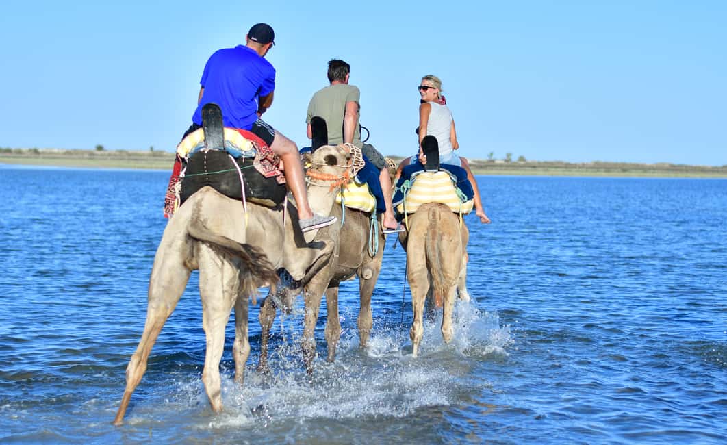image n.4 of Djerba: Guided Camel Ride with Blue Lagoon Visit activity in Medenine Governorate, uploaded by supplier