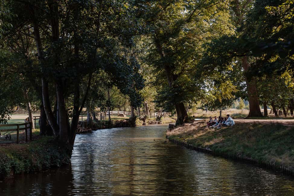 image n.3 of Oxford: Punting Tour on the River Cherwell activity in Oxford, uploaded by supplier
