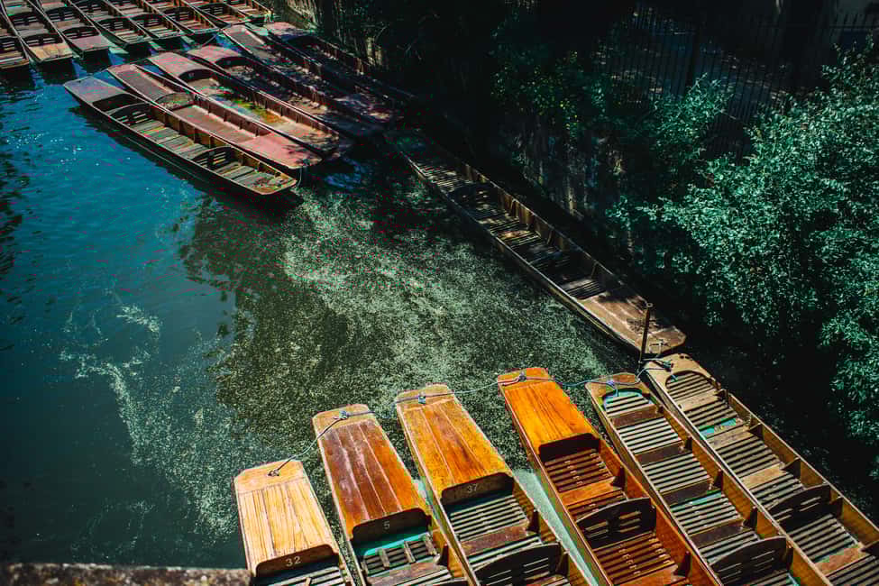 image n.5 of Oxford: Punting Tour on the River Cherwell activity in Oxford, uploaded by supplier