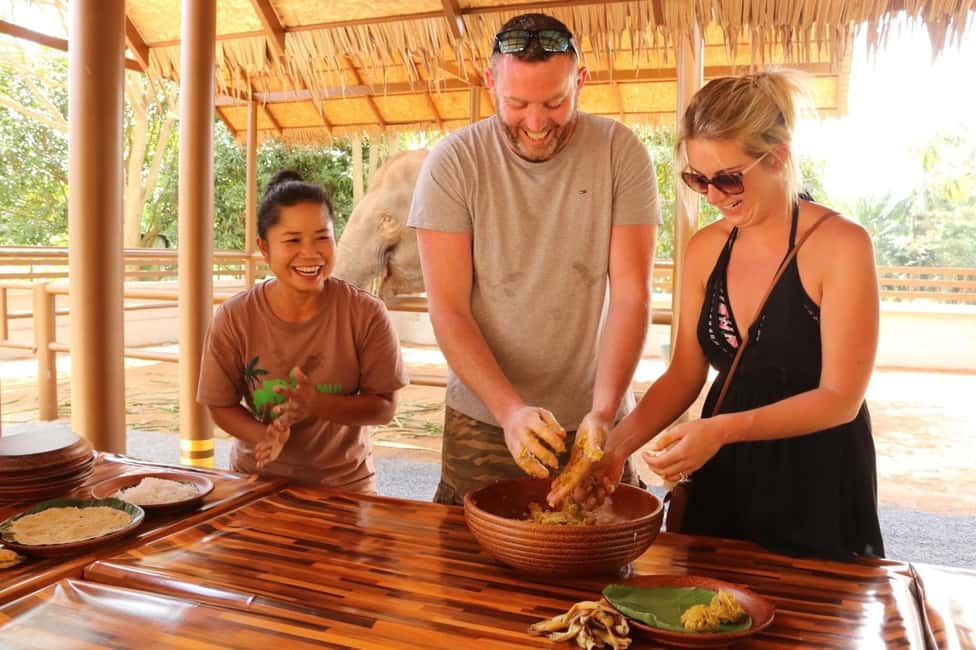 billede nr.2 af aktiviteten Samui: Fodringsprogram på Elephant Home Nursery i Byen Surat Thani, uploadet af udbyder