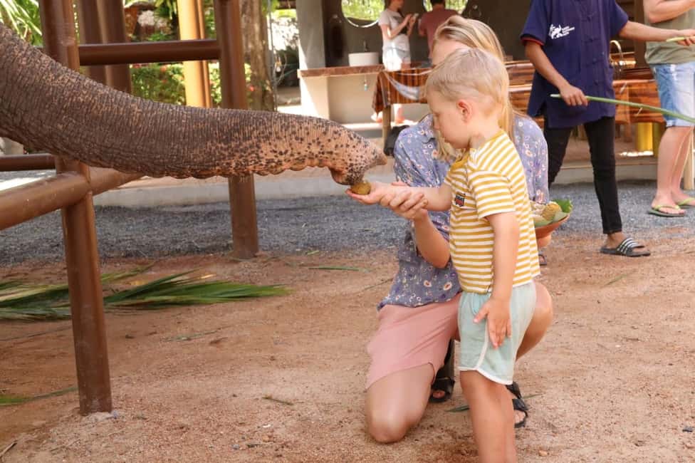 billede nr.4 af aktiviteten Samui: Fodringsprogram på Elephant Home Nursery i Byen Surat Thani, uploadet af udbyder