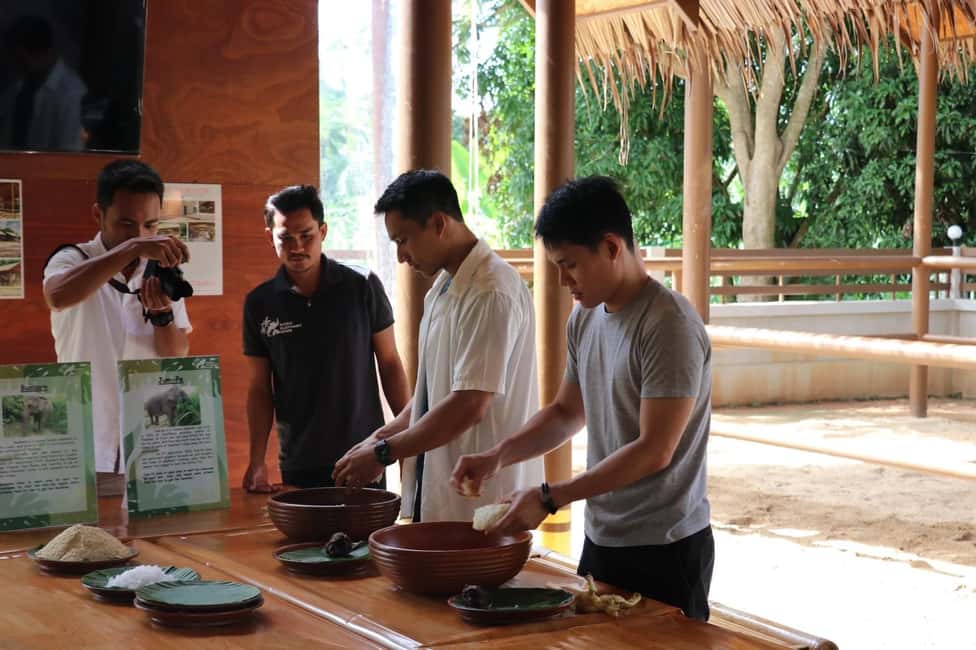 billede nr.6 af aktiviteten Samui: Fodringsprogram på Elephant Home Nursery i Byen Surat Thani, uploadet af udbyder