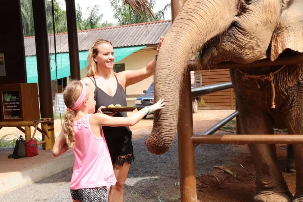 billede nr.7 af aktiviteten Samui: Fodringsprogram på Elephant Home Nursery i Byen Surat Thani, uploadet af udbyder