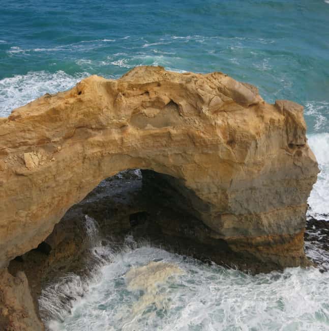 imagem n.6 de Melbourne: Excursão de 1 dia à Great Ocean Road e aos Doze Apóstolos atividade em Melbourne, carregada pelo fornecedor