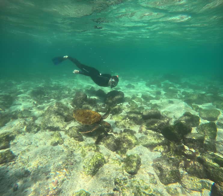 image n.1 of 3 DAYS TOUR STA CRUZ +ISABELA + STA FE+ ACCOMMODATION + TRANSFER IN AND OUT activity in Galápagos Islands, uploaded by supplier