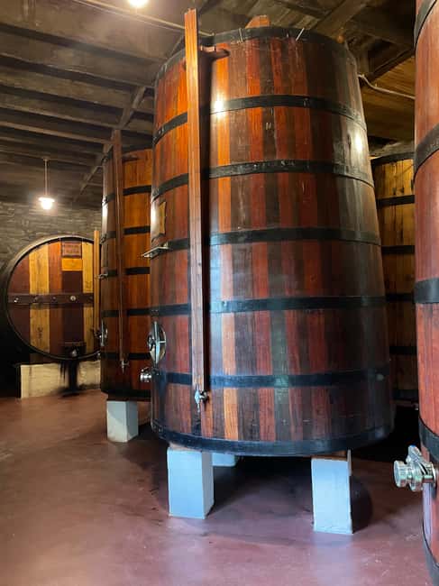 image n.17 of From Porto: Private Douro Valley Tour with Cruise and Wine activity in Norte Region, uploaded by supplier