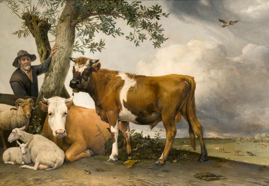 afbeelding n.10 van Den Haag: Mauritshuis Entree Ticket activiteit in Den Haag, geüpload door aanbieder