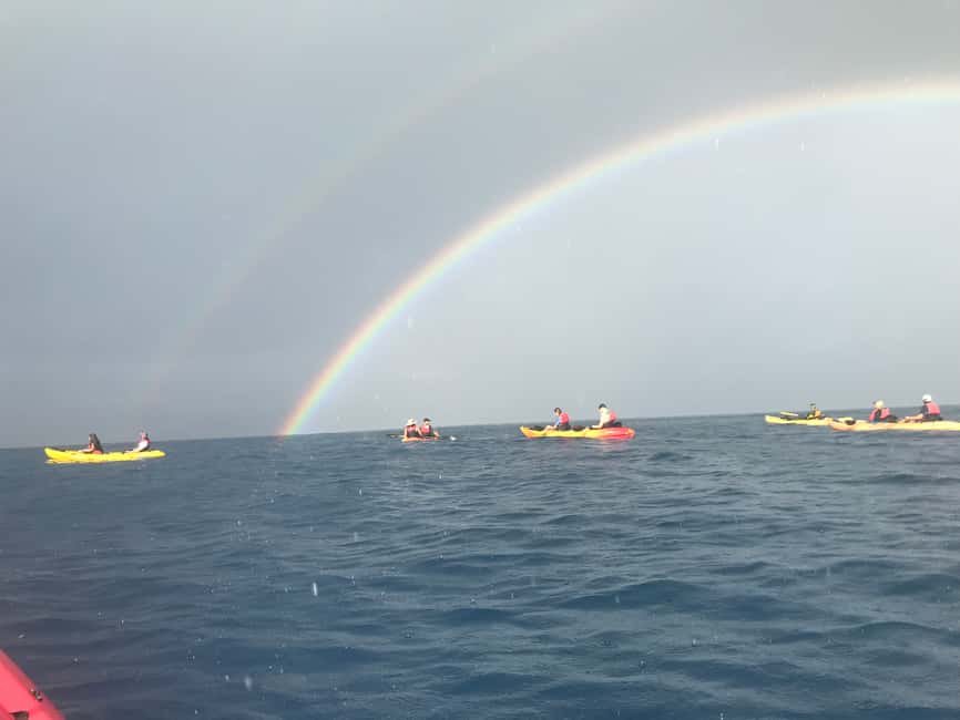 image n.8 of Kayak and Snorkel West Maui at Olowalu activity in Hawaii, uploaded by supplier