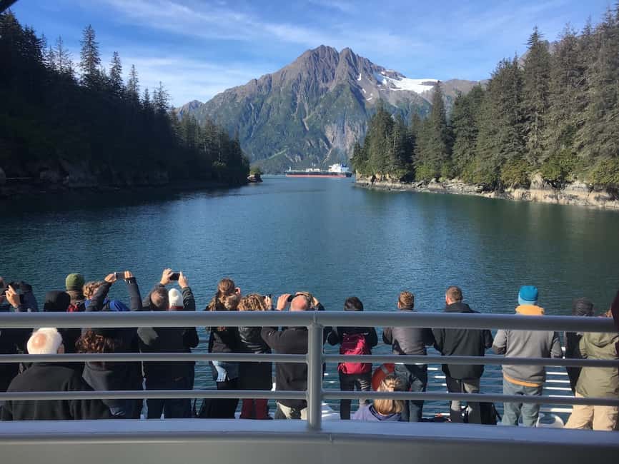 image n.4 of From Valdez: 7.5-hour Meares Glacier & Wildlife Cruise activity in Valdez, uploaded by supplier