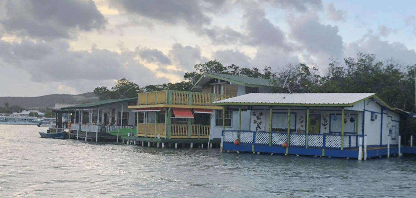 bild nr.6 av Från San Juan: La Parguera Glowing Bio Bay Boat Tour aktivitet i Västra regionen, Puerto Rico, uppladdad av arrangören