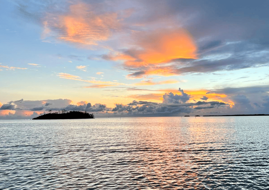 bild nr.2 av Från San Juan: La Parguera Glowing Bio Bay Boat Tour aktivitet i Västra regionen, Puerto Rico, uppladdad av arrangören