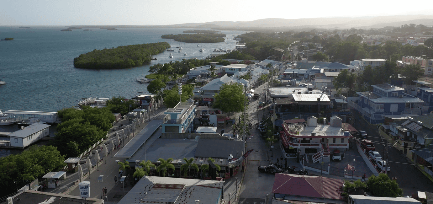bild nr.7 av Från San Juan: La Parguera Glowing Bio Bay Boat Tour aktivitet i Västra regionen, Puerto Rico, uppladdad av arrangören