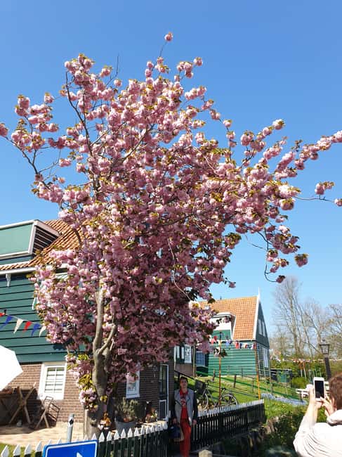 image n.19 of From Amsterdam: Giethoorn Day Trip with Small Electric Boat activity in Flevoland, uploaded by supplier