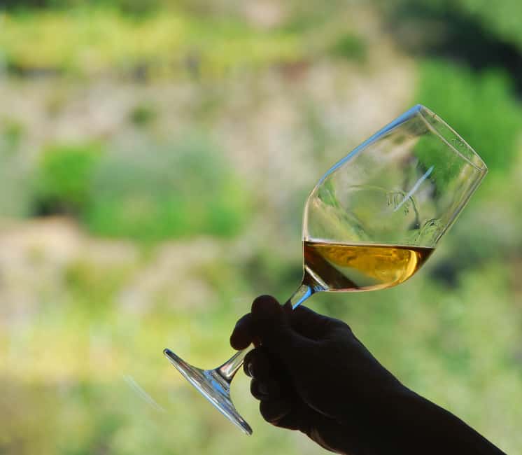 image n.1 of Manarola: Cinque Terre Wine Tasting activity in Manarola, uploaded by supplier