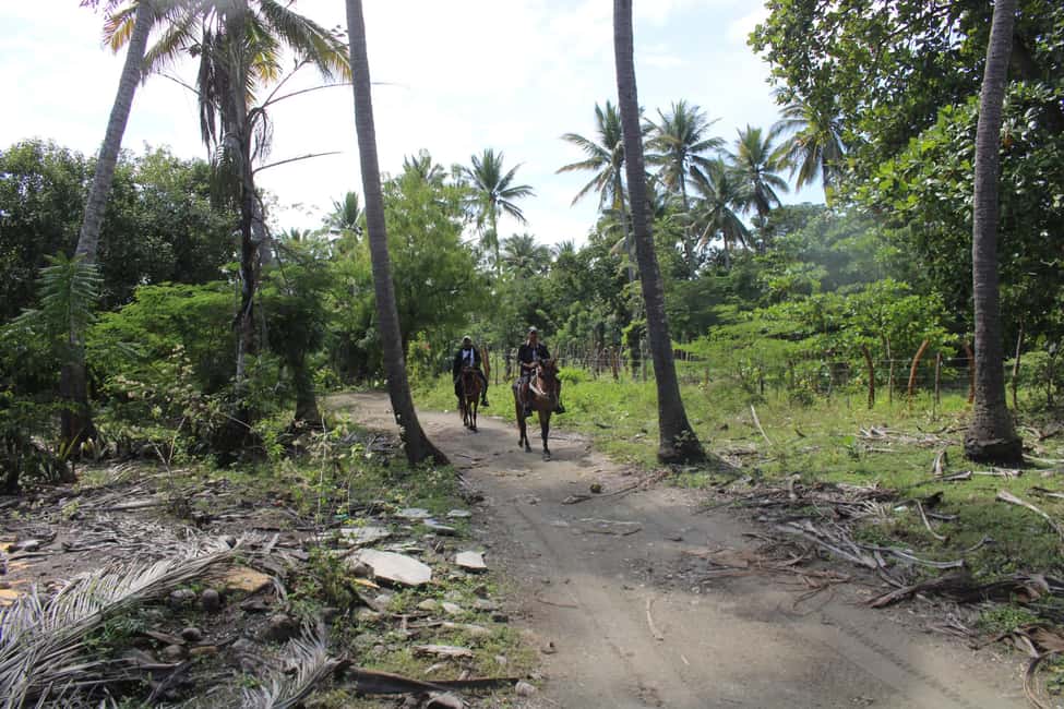 image n.8 of Beach horse back riding with countryside activity in Puerto Plata Province, uploaded by supplier