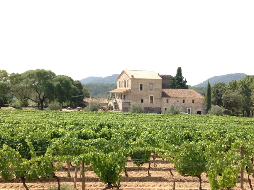 imagem n.11 de Montpellier: Excursão vinícola Pic Saint-Loup atividade em Sul da França, carregada pelo fornecedor