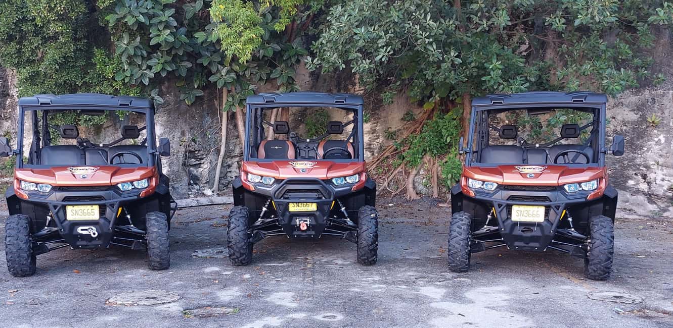 Image N°5 de Nassau : Location de Beach Buggy 6 places activité à Nassau, Bahamas, publiée par le prestataire
