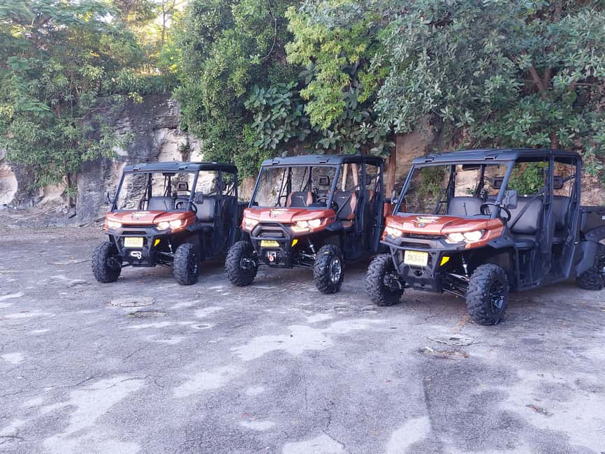 Image N°11 de Nassau : Location de Beach Buggy 6 places activité à Nassau, Bahamas, publiée par le prestataire