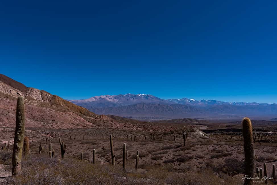 imagem n.4 de De Salta: viagem de 4 dias na província de Salta e Salinas Grandes atividade em Cafayate, carregada pelo fornecedor