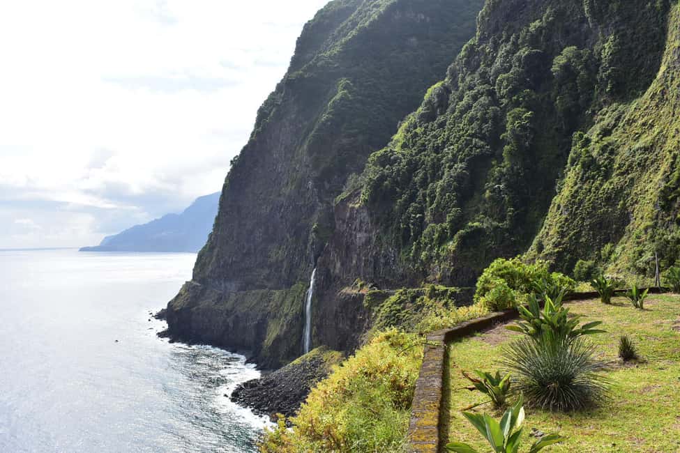 Immagine nº 20 di Funchal: tour di Porto Moniz, Seixal, Fanal e Cabo Girão attività a Madeira, caricata dal fornitore