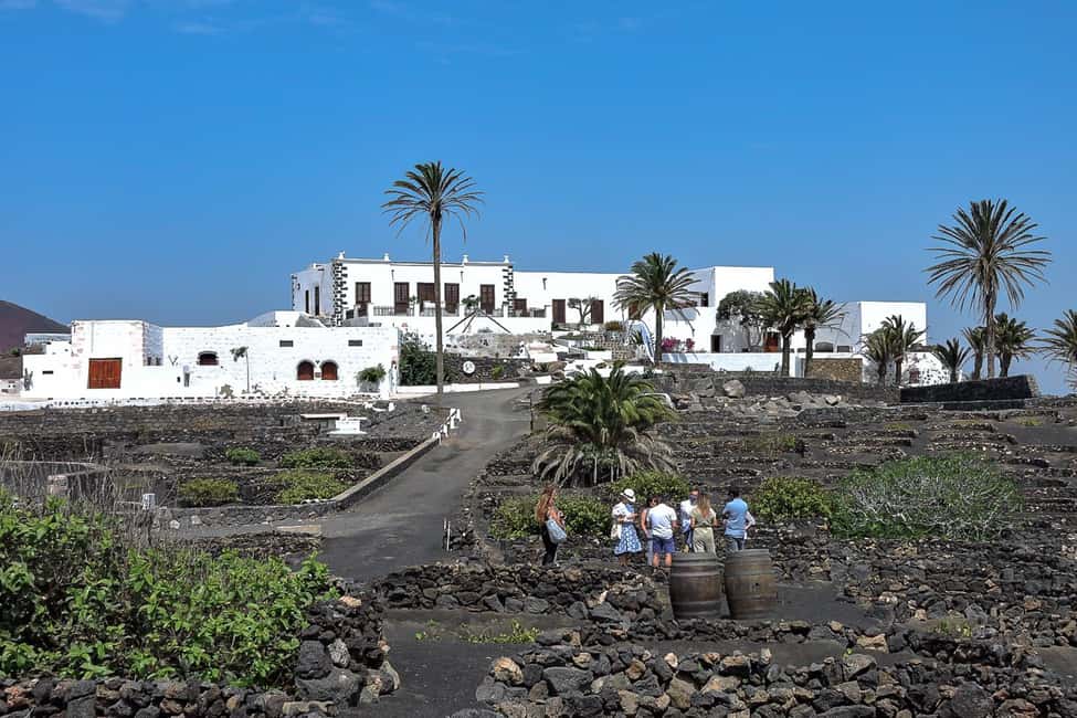 image n.2 of Lanzarote: Vineyard Tour with Wine and Chocolate Tasting activity in Canary Islands, uploaded by supplier