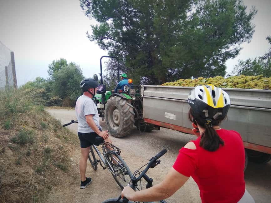 billede nr.2 af aktiviteten Fra Sitges: Cykeltur med vingårdsbesøg og smagning i Vilafranca del Penedès, uploadet af udbyder