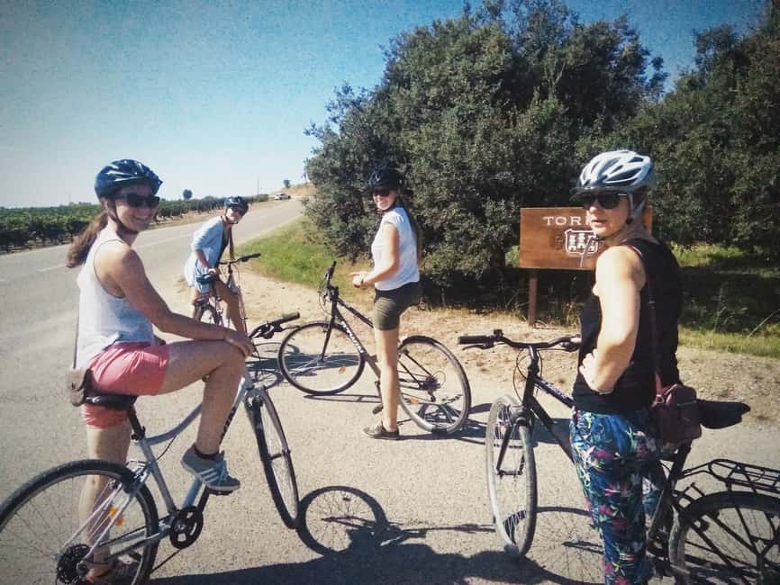 billede nr.5 af aktiviteten Fra Sitges: Cykeltur med vingårdsbesøg og smagning i Vilafranca del Penedès, uploadet af udbyder