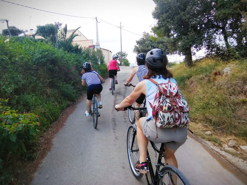 billede nr.6 af aktiviteten Fra Sitges: Cykeltur med vingårdsbesøg og smagning i Vilafranca del Penedès, uploadet af udbyder