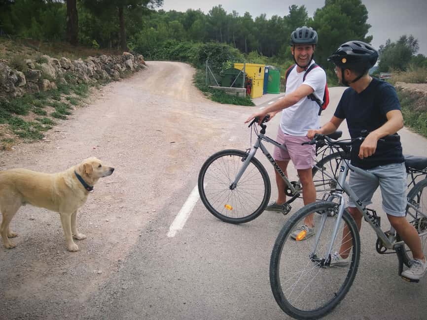 billede nr.7 af aktiviteten Fra Sitges: Cykeltur med vingårdsbesøg og smagning i Vilafranca del Penedès, uploadet af udbyder