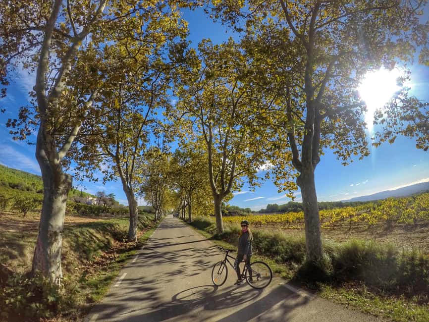 image n.8 of From Sitges: Paella Masterclass with Drink and Bike Ride activity in Vilafranca del Penedès, uploaded by supplier