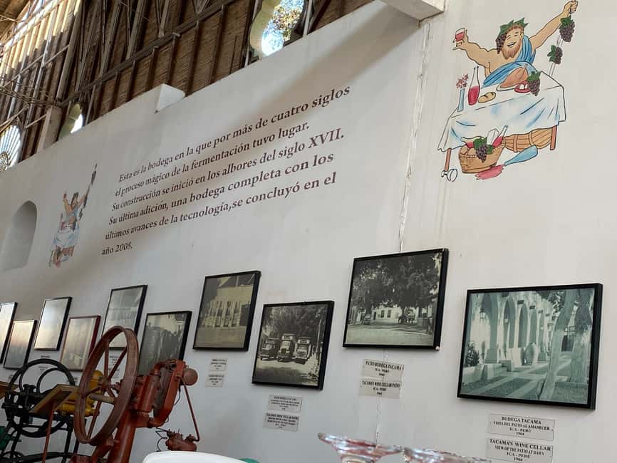 image n.4 of From Ica or Huacachina: Wine and Pisco Vineyards Tour activity in Ica, uploaded by supplier